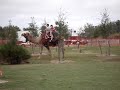 DAN RIDES A CAMEL