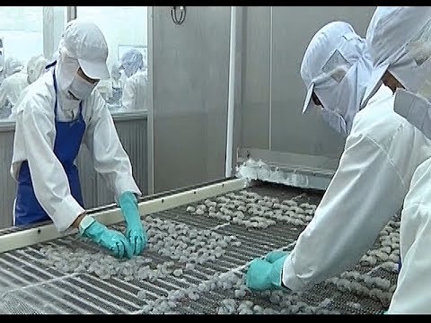 Thị trường EU - cơ hội và thách thức cho doanh nghiệp xuất khẩu thủy sản Việt Nam 