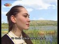 Azmi Toguzata - Si Albina