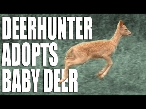 Deerhunter Adopts Baby Deer