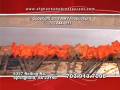 AfghanKabob Commercial - AMV Productions.mov