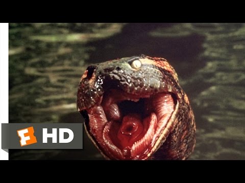 Anaconda (7/8) Movie CLIP - Anaconda at the Waterfall (1997) HD