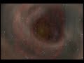 Enter the worm hole.wmv