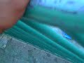 180 � velten