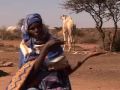 Hargeisa Flood control and management project