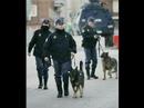 Cuerpo Nacional de Policia 3 (vers. alternativa)