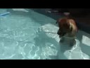 One more of Toby Fishing