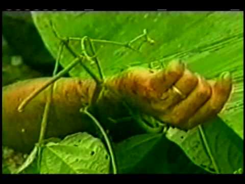 Gracia Burnham on In the Presence of My Enemies & To Fly Again