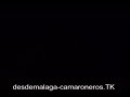 beni de cadiz anecdota con camaron y tomatito
