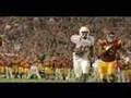 texas longhorn video