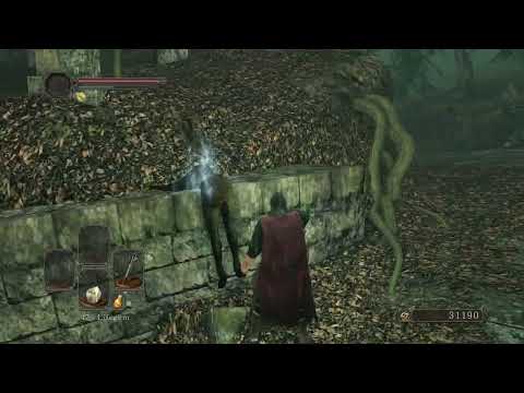 Titanite Slab and Titanite Chunk x 3 in front of Drangleic Castle