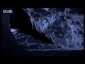 BBC Animals: Cave Under Construction - Elephants at Work! - Elephant Cave