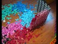 New Wall Record! New Wall Record!