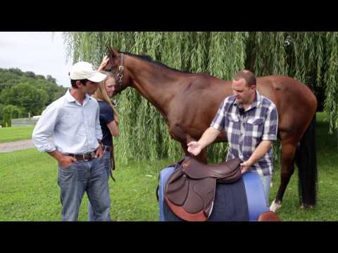 how to fit your horse for a saddle