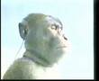 sony walkman commercial