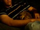 Baby Mojo