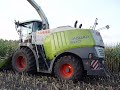Prototyp Claas Jaguar 980