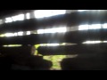 Trammel Fossil Park - Inside the Cabin that might fall down on you