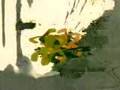 clip video Les Tambours De Brazza Cameleon