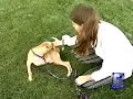 wisconsin-humane-society-saddened-over-abandoned-doggs.html