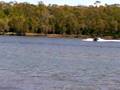 my wake/ ski boat 4 sale