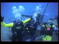 Scuba Diving in the Keys