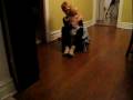 Jonah Walking to mommy