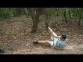 JP of the Jungle