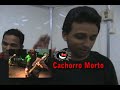 morangos assassinos (integrantes da banda)