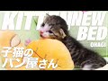 子猫のパン屋さん- Kitten's New Bed -