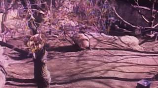 Smithsonian National Zoo