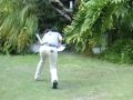 Bird of Prey Attacks Cockatoo