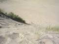 videos de Fun at the dunes