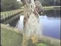 Netting for Minnows. see(a.s.a.p)*****