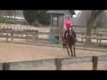 videos de my official THANKS... trainers and horses