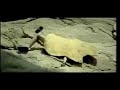 Calbee TVC (Long Version)