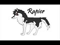 Rapier Tryout, Just for fun
