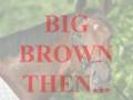 Big Brown Then and Now