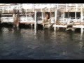 Whale Watching/CSUMB (Class Project)