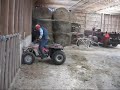 Fourtrax 250