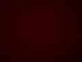 sonic-shadow-randomness-1-.html