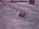 sled race sled race