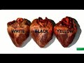 Benetton 40th Anniversary Fabrica Showreel Benetton 40th Anniversary Fabrica Showreel