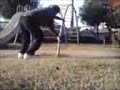 Wall Spin オレンジテラコッタ