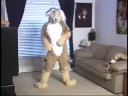 Subservient Golden Retriever - Part 3
