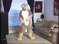 Subservient Golden Retriever - Part 3