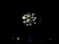 Wishes 4