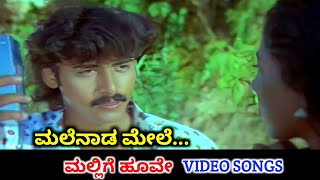 Malenada Mele / Mallige Hoove / HD Video / Shashi 