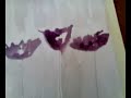 Watercolor -flowers1  Mervat Al Ameer
