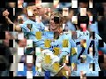 Elano Manchester City F.C and Brazil